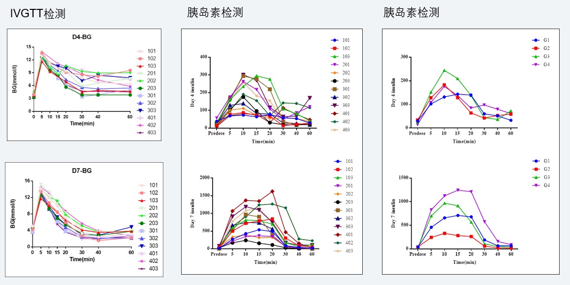 案例4：食蟹猴IVGTT和胰岛素检测实验.jpg