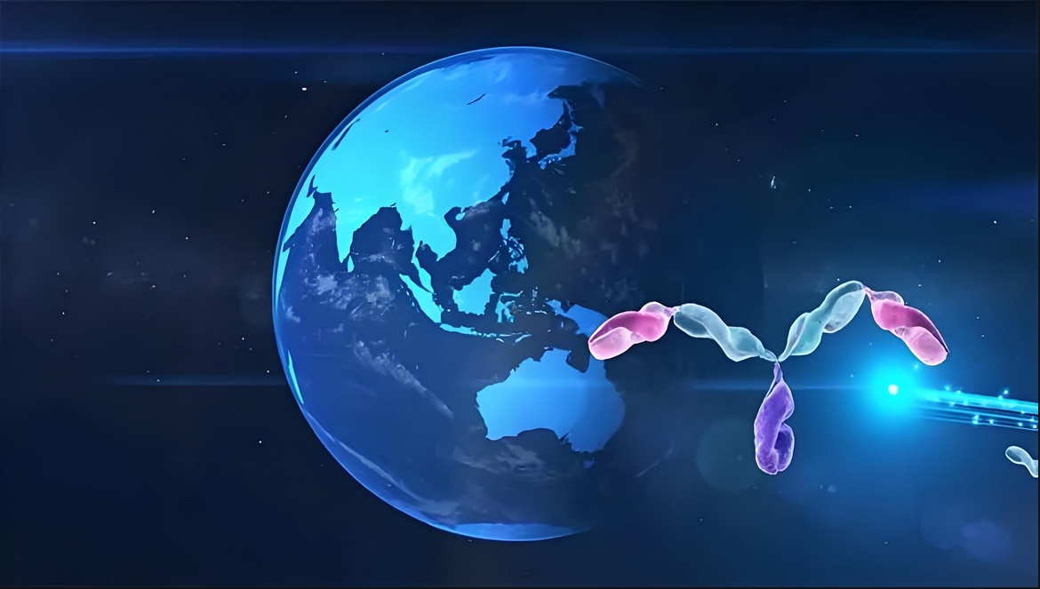 价值屡经验证！不朽情缘mg官网：睾献骰锇榘堵跎顱CMA×CD3双抗EMB-06授权出海