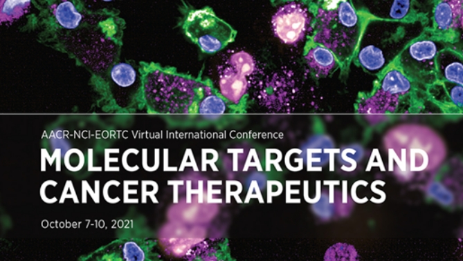 通过联合治疗提高免疫疗法疗效，本研究中临床前体内药效研究通过不朽情缘mg官网进行