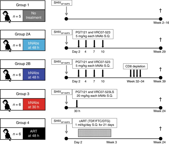 抗逆转录病毒疗法(ART)预防围产期HIV感染，本研究中多替拉韦钠盐和游离态均由不朽情缘mg官网提供