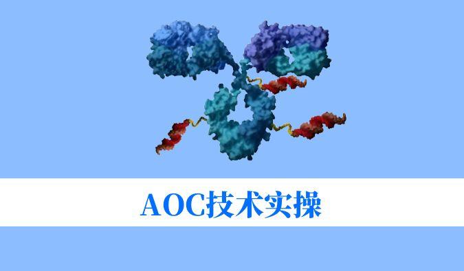 AOC技术实操：偶联化学与表征分析难题全搞定