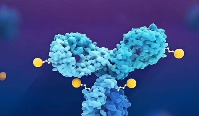 深度剖析：ADC药物生物分析的考量因素