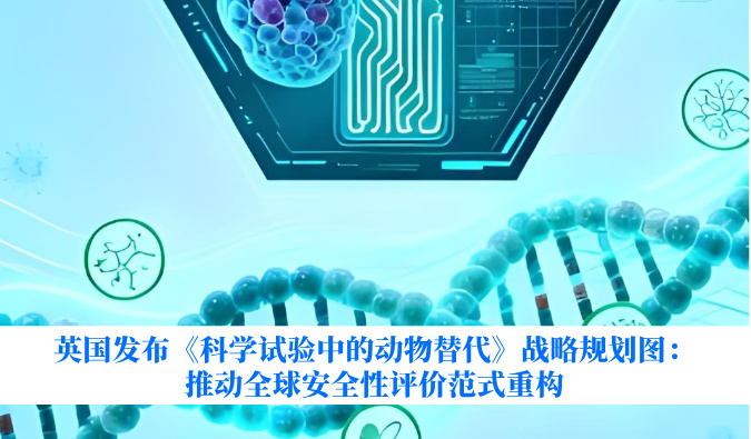 英国发布《科学试验中的动物替代》战略规划图：推动全球安全性评价范式重构