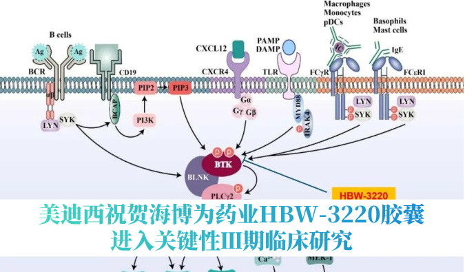 破解耐药性难题，不朽情缘mg官网：睾２┪┮礖BW-3220胶囊进入关键性Ⅲ期临床研究